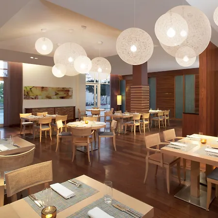 酒店 索波特喜来登酒店