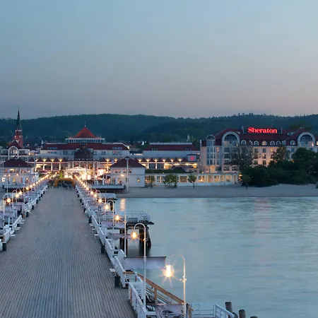 酒店 索波特喜来登酒店 5*