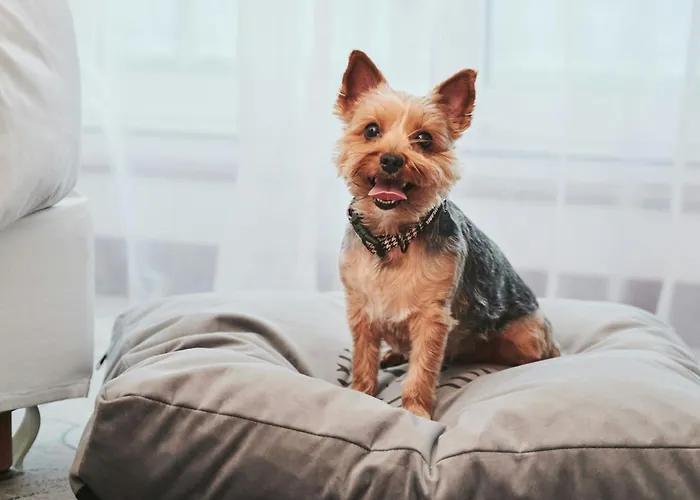 Sheraton 5* Сопот